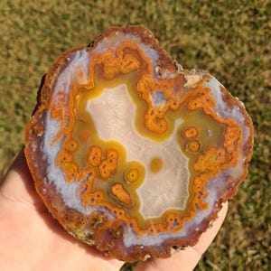 Moroccan agate from the high atlas mountains, also known as hama agate. Polished eye agate mineral specimen with quartz.