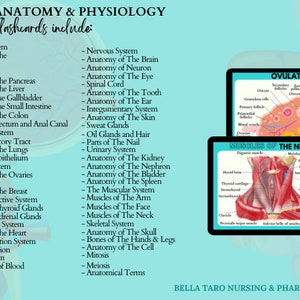 Anatomy & Physiology Flashcards | Anatomy Study Guide | Nursing School Notes | Nursing Study | Medical Notes | Instant Download PDF