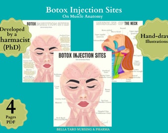Sites d'injection de Botox : formation sur l'anatomie du visage dessinée à la main (PDF)