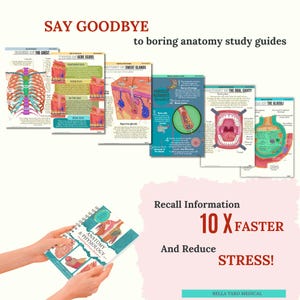 Anatomy & Physiology Study Guide | 234 Pages Hand-Drawn | Anatomy For Nursing| Nursing School Notes | Medical Notes | Human Body Systems
