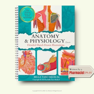 Anatomy & Physiology Study Guide | 550 Hand-Drawn Illustrations Anatomy For Nursing Student Medical Notes | Nursing School Note |Human Body