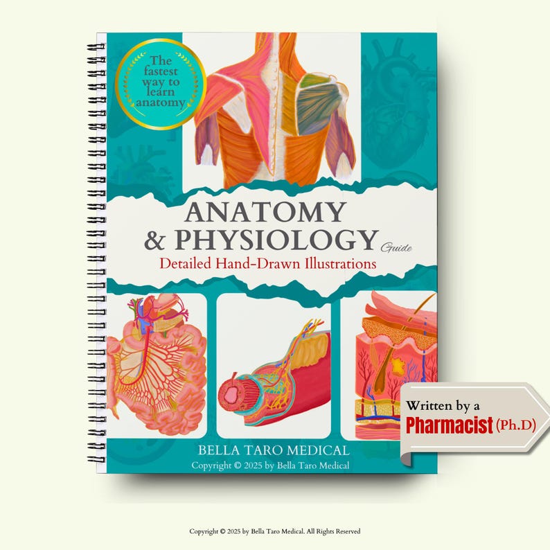 Anatomy & Physiology Study Guide | 550 Hand-Drawn Illustrations Anatomy For Nursing Student Medical Notes | Nursing School Note |Human Body