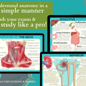 Anatomy & Physiology Flashcards | Anatomy Study Guide | Nursing School Notes | Nursing Study | Medical Notes | Instant Download PDF