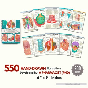 Anatomy & Physiology Study Guide | Hand-Drawn Anatomy For Nursing Students Notes| Nursing School | Medical Notes | Human Body | 234 Pages A great gift to nurses, physician assistants, or medical students