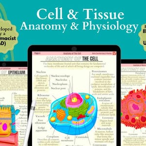 Puede incluir: Una ilustración colorida de un libro de texto de anatomía y fisiología celular y tisular con 25 páginas y 140 pegatinas digitales. La portada presenta una ilustración dibujada a mano de una célula con partes etiquetadas y una pegatina de bonificación.