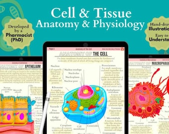 Può includere: Un'illustrazione colorata di un libro di testo di anatomia e fisiologia cellulare e tissutale con 25 pagine e 140 adesivi digitali. La copertina presenta un'illustrazione disegnata a mano di una cellula con parti etichettate e un adesivo bonus.