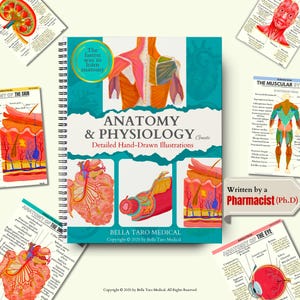 Anatomy & Physiology Study Guide | Hand-Drawn Anatomy For Nursing Students Notes| Nursing School | Medical Notes | Human Body | 234 Pages