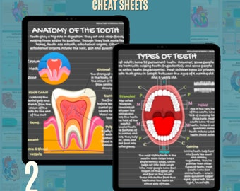 Anatomy of the Tooth Study Notes | Tooth Anatomy Cheat Sheets | Dental Hygiene Notes | Types of Teeth | Dental Assistant Study Guide | PDF