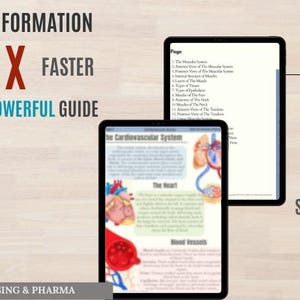 Cardiovascular System Notes, Cardiac Anatomy Study Guide, Heart Anatomy ...