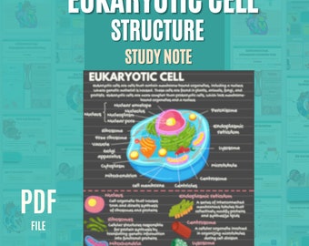 May include: A colorful diagram of a eukaryotic cell with labels for each part, including the nucleus, nucleolus, ribosomes, endoplasmic reticulum, Golgi apparatus, lysosomes, mitochondria, and peroxisomes. The diagram is surrounded by a black border and the text "Eukaryotic Cell Structure Study Note".