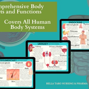 Anatomy & Physiology Flashcards | Anatomy Study Guide | Nursing School Notes | Nursing Study | Medical Notes | Instant Download PDF