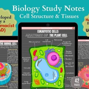 Cell Structure & Organelles Anatomy Flashcards | Eukaryotic Prokaryotic Cells | Cell Cycle and Division | Cell Anatomy | Biology