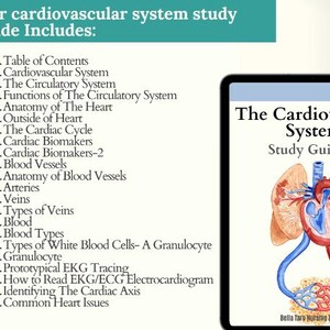 Cardiovascular System Notes, Cardiac Anatomy Study Guide, Heart Anatomy ...