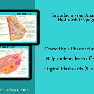 Anatomy & Physiology Flashcards | Anatomy Study Guide | Nursing School Notes | Nursing Study | Medical Notes | Instant Download PDF