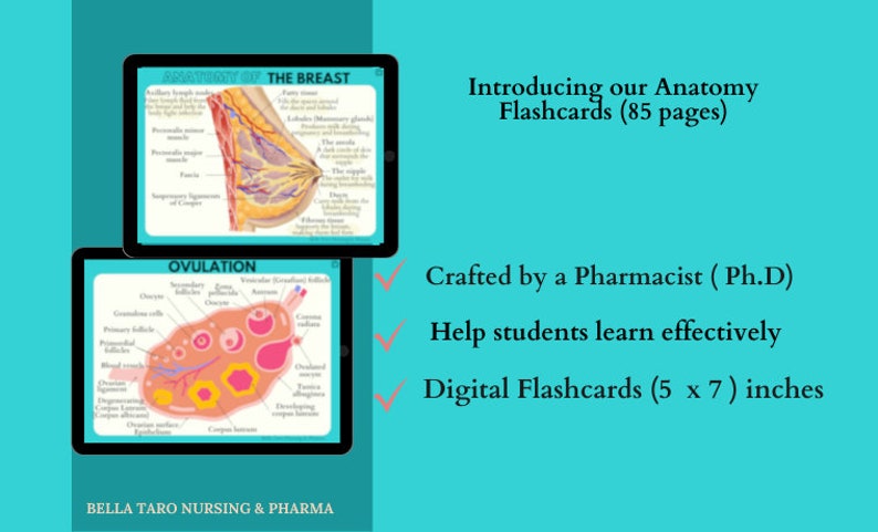 Anatomy & Physiology Flashcards | Anatomy Study Guide | Nursing School Notes | Nursing Study | Medical Notes | Instant Download PDF
