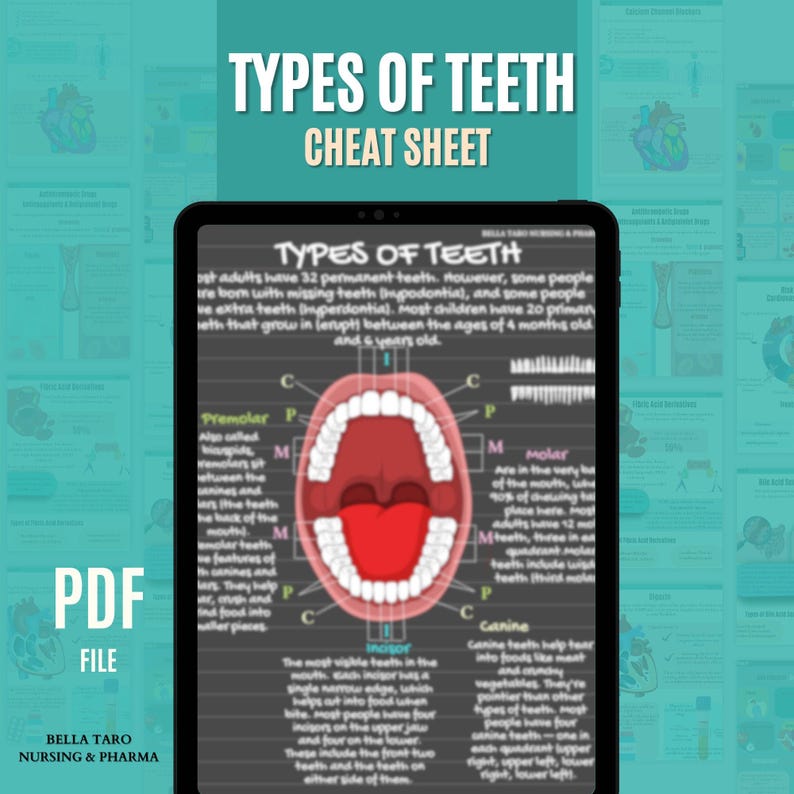 Anatomy of the Tooth Study Notes | Tooth Anatomy Cheat Sheets | Dental Hygiene Notes | Types of Teeth | Dental Assistant Study Guide | PDF