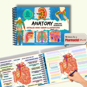 Anatomy Labeling Workbook: Hand-Drawn Anatomy and Physiology Notes | A&P Coloring Lab | RN Nursing Students |NCLEX, Nursing School Exam Prep