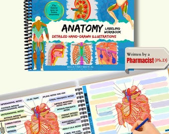 Quaderno di esercizi di etichettatura anatomica: appunti di anatomia e fisiologia disegnati a mano / Laboratorio di colorazione A&P / Studenti infermieristici RN / NCLEX, preparazione all'esame della scuola infermieristica