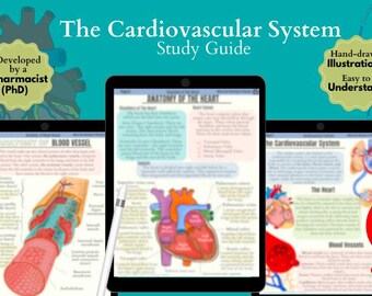 Cardiovascular System Notes| FREE Cardiac Digital stickers| Cardiac Heart Anatomy Study Guide| Nursing School Notes| Nursing Study Guide PDF