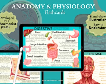 Anatomy & Physiology Flashcards | Anatomy Study Guide | Nursing School Notes | Nursing Study | Medical Notes | Instant Download PDF