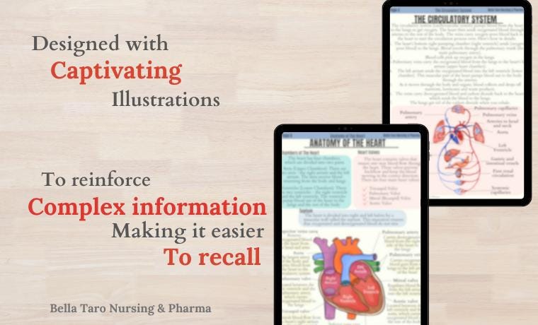 Cardiovascular System Notes, Cardiac Anatomy Study Guide, Heart Anatomy ...