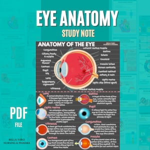 May include: A colorful diagram of the human eye with labels for each part, including the cornea, pupil, iris, lens, retina, and optic nerve. The diagram is titled "Eye Anatomy Study Note".
