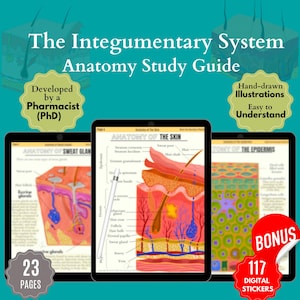 Anatomía de la piel: Paquete del sistema tegumentario humano dibujado a mano, incluye pegatinas GRATIS, ideal para estética, enfermería dermatológica, spa médico y cosmetología (PDF).