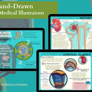 Anatomy & Physiology Flashcards | Anatomy Study Guide | Nursing School Notes | Nursing Study | Medical Notes | Instant Download PDF
