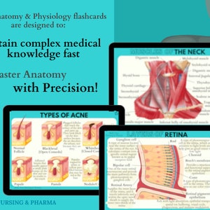 Anatomy & Physiology Flashcards | Anatomy Study Guide | Nursing School Notes | Nursing Study | Medical Notes | Instant Download PDF