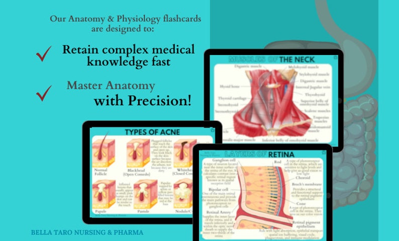 Anatomy & Physiology Flashcards | Anatomy Study Guide | Nursing School Notes | Nursing Study | Medical Notes | Instant Download PDF