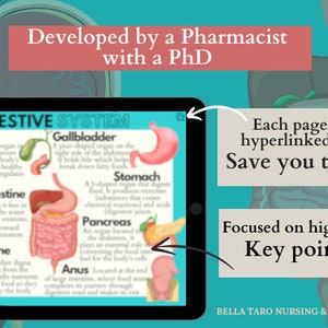 Anatomy & Physiology Flashcards | Anatomy Study Guide | Nursing School Notes | Nursing Study | Medical Notes | Instant Download PDF