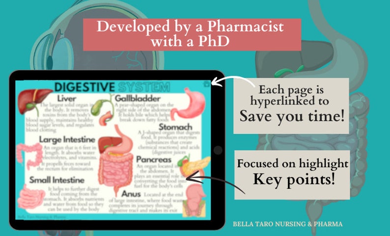 Anatomy & Physiology Flashcards | Anatomy Study Guide | Nursing School Notes | Nursing Study | Medical Notes | Instant Download PDF