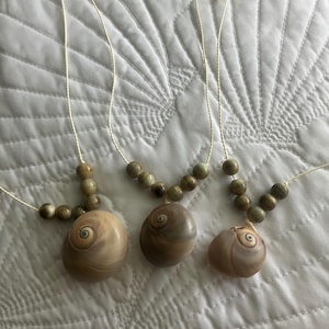 Moon Snail Shell Pendant Necklace | Beachy | Sea Shell Jewelry