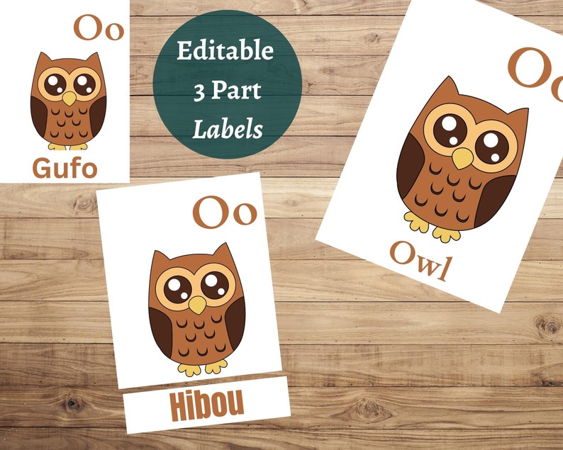 Alphabet Flash Cards, ABC, Communication Cards, Preschool Curriculum ...