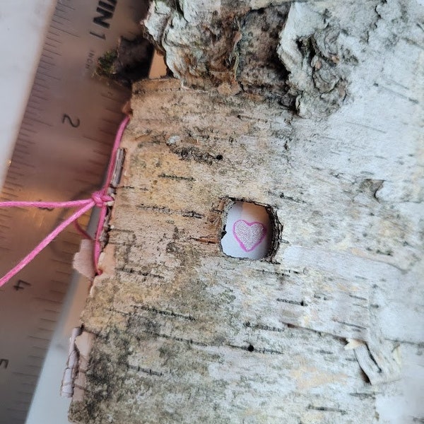 Birch Bark Journal Etsy