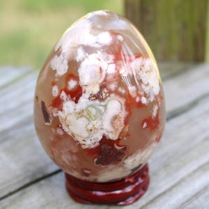 May include: A polished, egg-shaped stone with a mix of colors, including white, red, and brown, set on a small, round, dark red wooden stand. The stone's surface has a glossy finish, and the colors create a unique pattern.