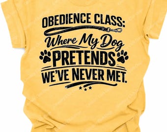 Obedience Class Shirt,  My Dog Pretends We’ve Never Met Tee, Funny Dog Training Shirt, Dog Mom Tee, Comfort Colors Graphic Shirt, Hoodie
