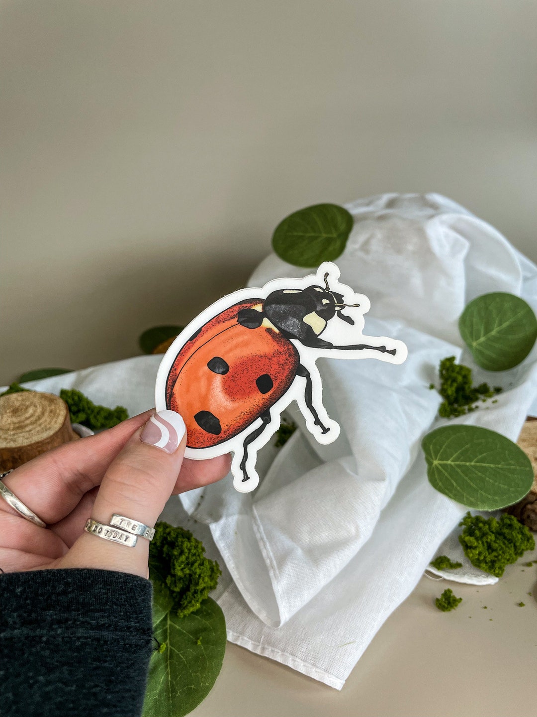 Lady Bug - Matte Vinyl Sticker - Etsy