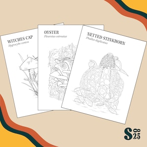 15 Mushroom Coloring Pages - Digital Download
