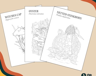 15 Mushroom Coloring Pages - Digital Download