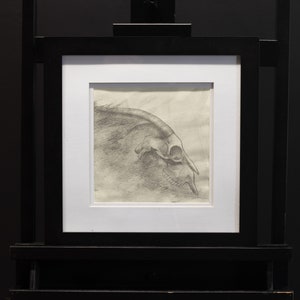 Studio del teschio, disegno in grafite su carta, viene incorniciato, scuro, lunatico, appeso a parete, belle arti