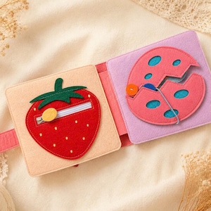 May include: A felt activity book, open to reveal a strawberry and a cracked egg. The strawberry has a zip, and the egg features buttons and string. The book is made of red, pink, green, and beige felt.