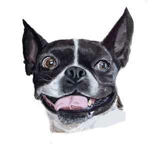 Hand drawn pet portraits from your photograph, dogs, cats, horses...