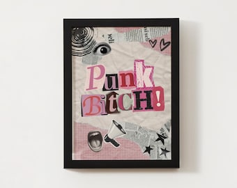 May include: A framed art print with the words "Punk Bitch!" in a collage style. The artwork features cut-out letters in pink, red, and black, with a background of newspaper clippings and pink paper. Additional elements include an eye, a megaphone, and stars.