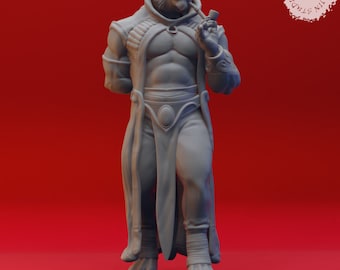 8K Rakshasa - Yasashii Kyojin Studio - Role playing DnD miniature