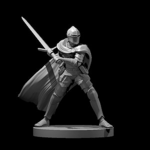 8K Female or Male Knight - Role playing DnD miniature