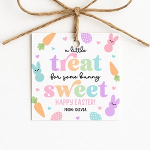 EDITABLE Prtinable Easter Gift Tags, Somebunny Sweet Tags, Bunny Treat Tags, Easter Favor Tags, Kids Easter Tag, Instant Download, School