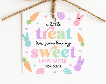 EDITABLE Prtinable Easter Gift Tags, Somebunny Sweet Tags, Bunny Treat Tags, Easter Favor Tags, Kids Easter Tag, Instant Download, School