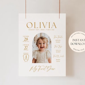 Bearbeitbar Mein erstes Jahr Erster Geburtstag Zeichen Dekor Banner Meilenstein Zeichen 1. Geburtstag Statistik Zeichen Baby Boho Minimalist Neutral Wachstumskarte