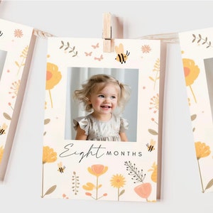 May include: Three white photo cards with a floral and bee pattern. Each card has a photo of a baby girl and the text "Seven Months", "Eight Months", and "Nine Months".